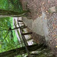 IMG_8790.JPG